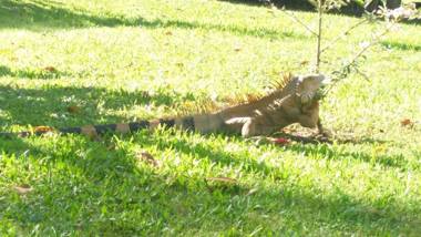 All Rankins Eco-Lodge