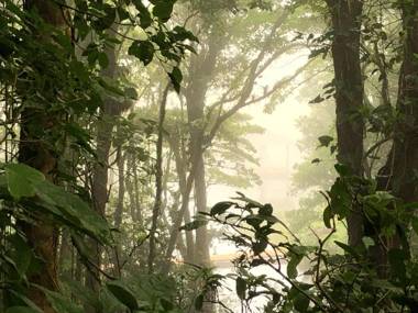 Burbi Lake Lodge Monteverde