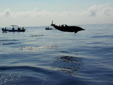Samara Pacific Lodge
