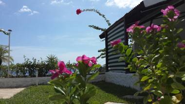 Barracuda apartments