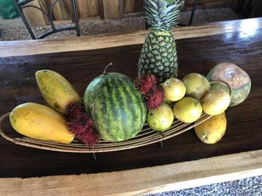 Samara Chillout Lodge - Adults only