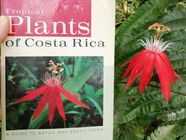 Hacienda Mil Bellezas