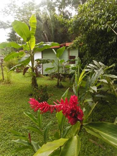 Selva Linda eco-responsible Lodge
