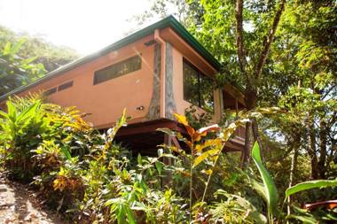 Casa Macaw Jungle Cabin w Private pool Wifi and AC