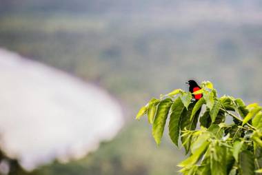 Eco-Condo Serviced Apartments in Quepos w Pool Wildlife Visits
