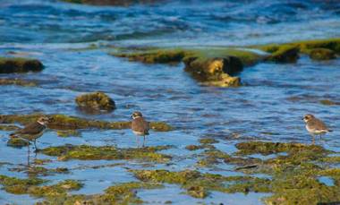 Villas Allen Puerto Viejo