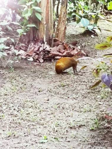 Hotel Casitas Mar y Luz