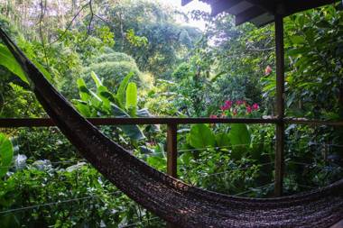 El Tucan Jungle Lodge