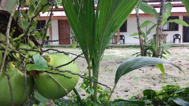 Cabinas Yucca
