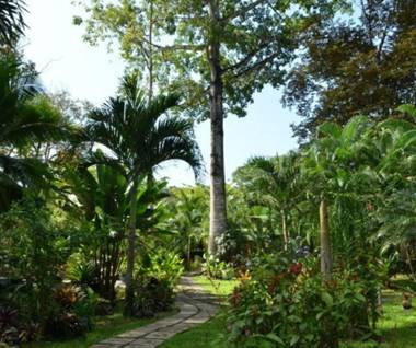 El Nido Pool & Garden Lodge