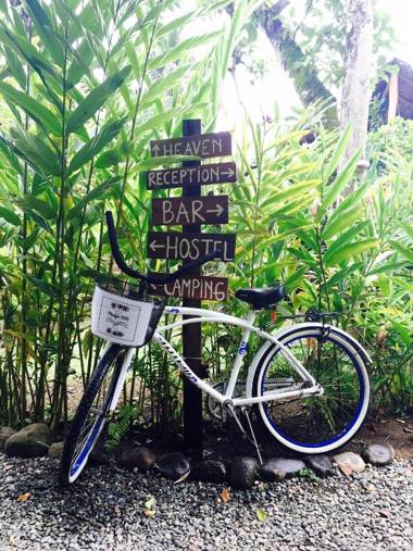 Playa 506 Beachfront Hostel