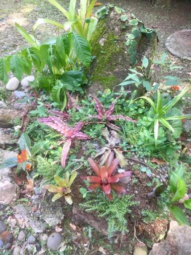 Jungle Beach Bungalow with AC & Fiber optic