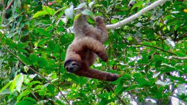 Hidden Jungle Beach House