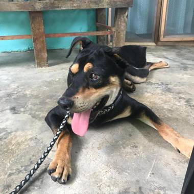 Hidden Jungle Beach House