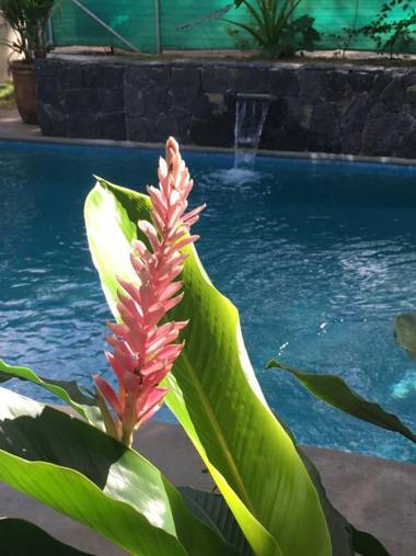 Casa Columbine Vacation Home