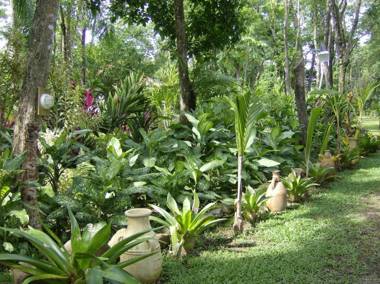 Hotel La Palapa Eco Lodge Resort
