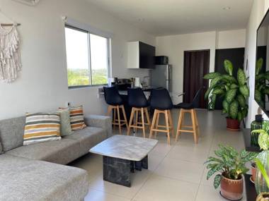 BEACHFRONT APARTMENT Vistas de Bejuco