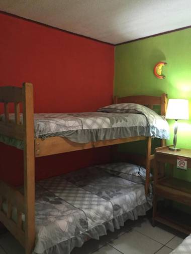 Hotel & Hostel Sloth Backpackers