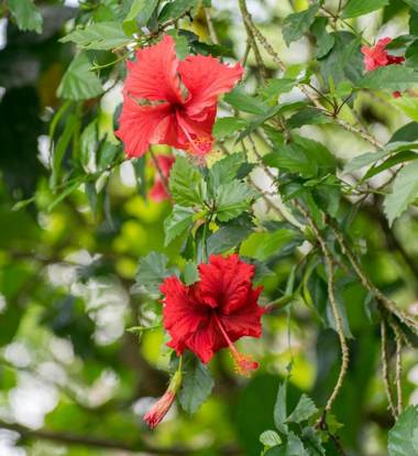 Hotel Kokoro Mineral Hot Springs