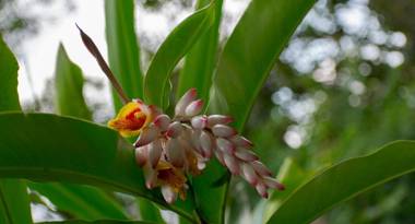 Hotel Kokoro Mineral Hot Springs