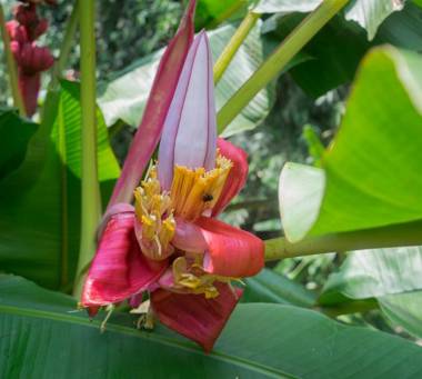 Hotel Kokoro Mineral Hot Springs