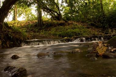 Hotel Eco Arenal