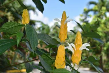 Hotel Roca Negra Del Arenal