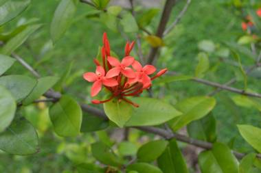 Hotel Secreto La Fortuna
