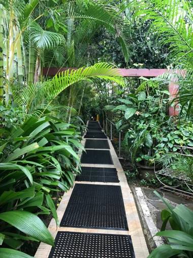 Paradise Hot Springs