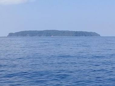 Garden of Heliconias Lodge