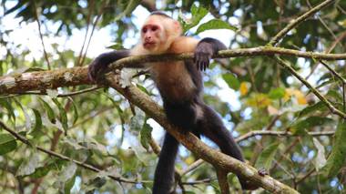 Hotel Villas Rio Mar