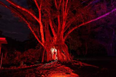 Tribe Boutique Hotel - Adults Only