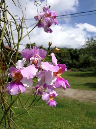 Bijagua paradise Río Celeste