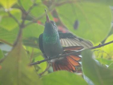 Jardin entre Montañas