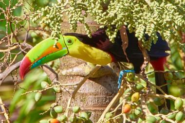 Modern 2 Bedroom Villa - Friendship House - Price shown is for 2 Night Stay