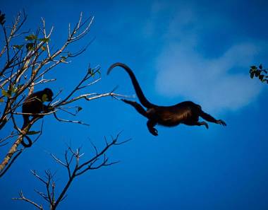 Modern 2 Bedroom Villa - Friendship House - Price shown is for 2 Night Stay