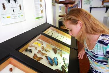 Villa Blanca Hotel & Nature Reserve