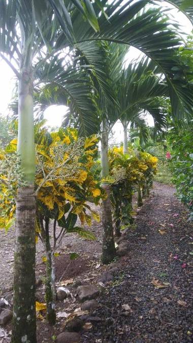 Santa Maria Volcano Lodge