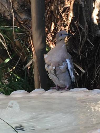 ALAJUELA CITY Hotel & Guest House