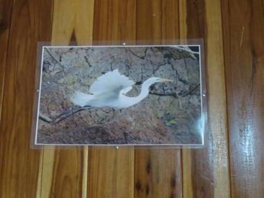 Poponjoche Lodge Caño Negro