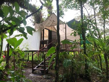 Garza del Sol Glamping Río Celeste Bromelia