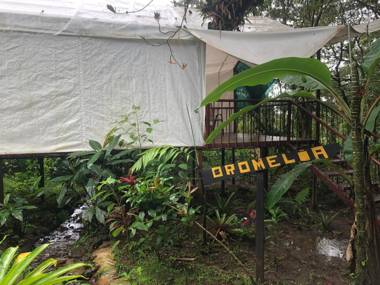 Garza del Sol Glamping Río Celeste Bromelia