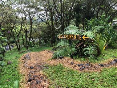Garza del Sol Glamping Río Celeste Bromelia