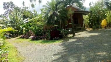 Posada Rio Celeste in