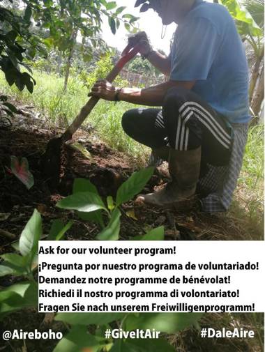 CasaBoho / BohoHouse