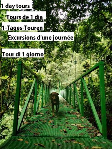 CasaBoho / BohoHouse