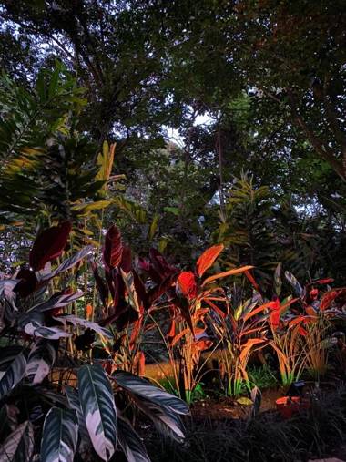 Bongalow Villa Sarchi