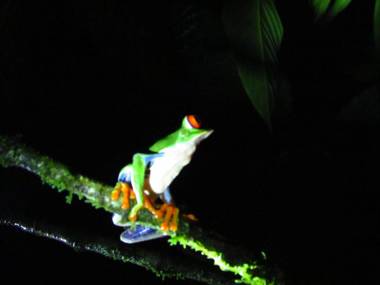 Posada Río Celeste La Amistad