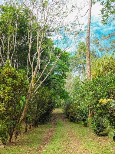 Villa Celeste Katira