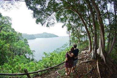 Jungle Vista Boutique Hotel